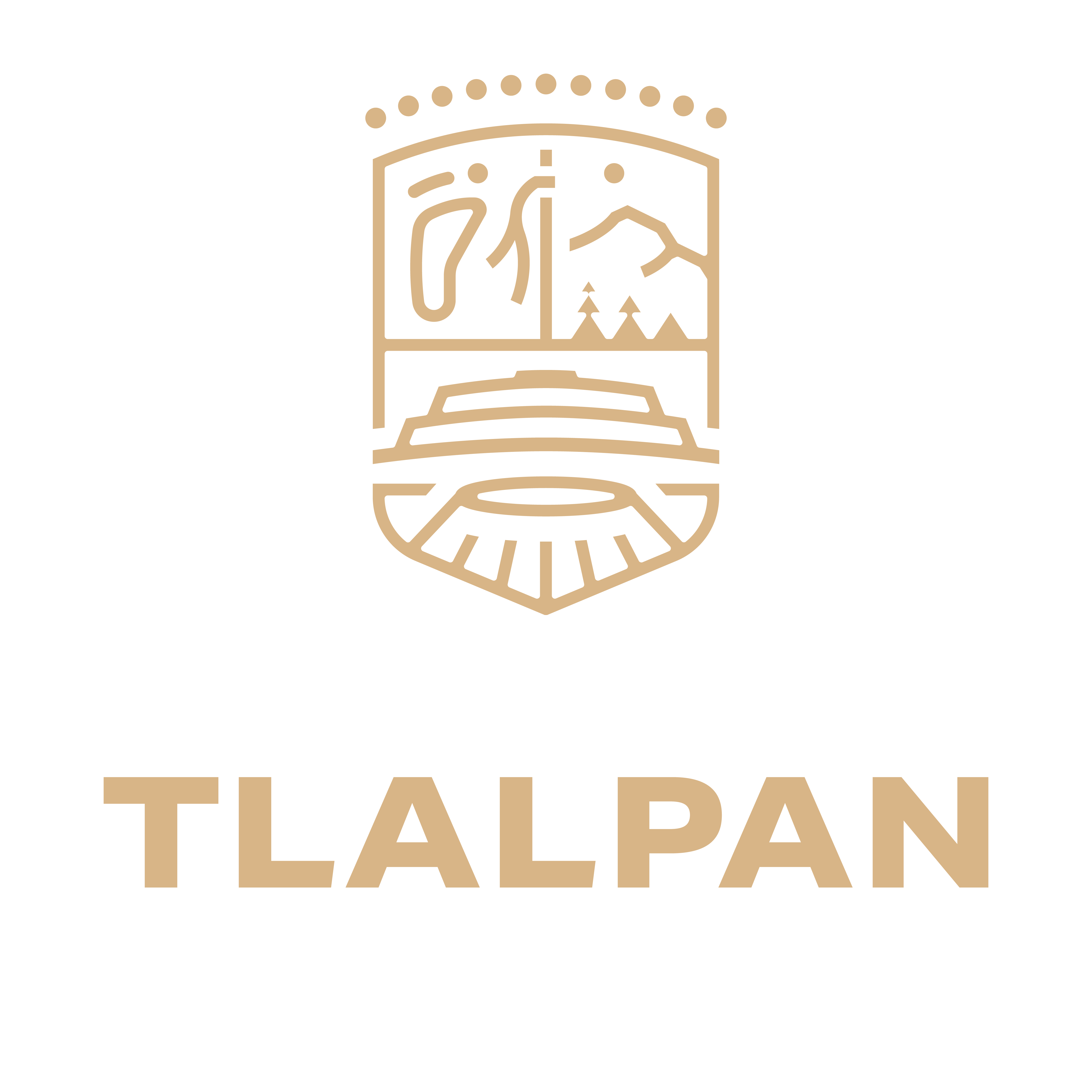 Alcaldia Tlalpan